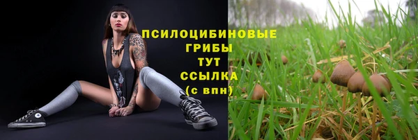 индика Уссурийск
