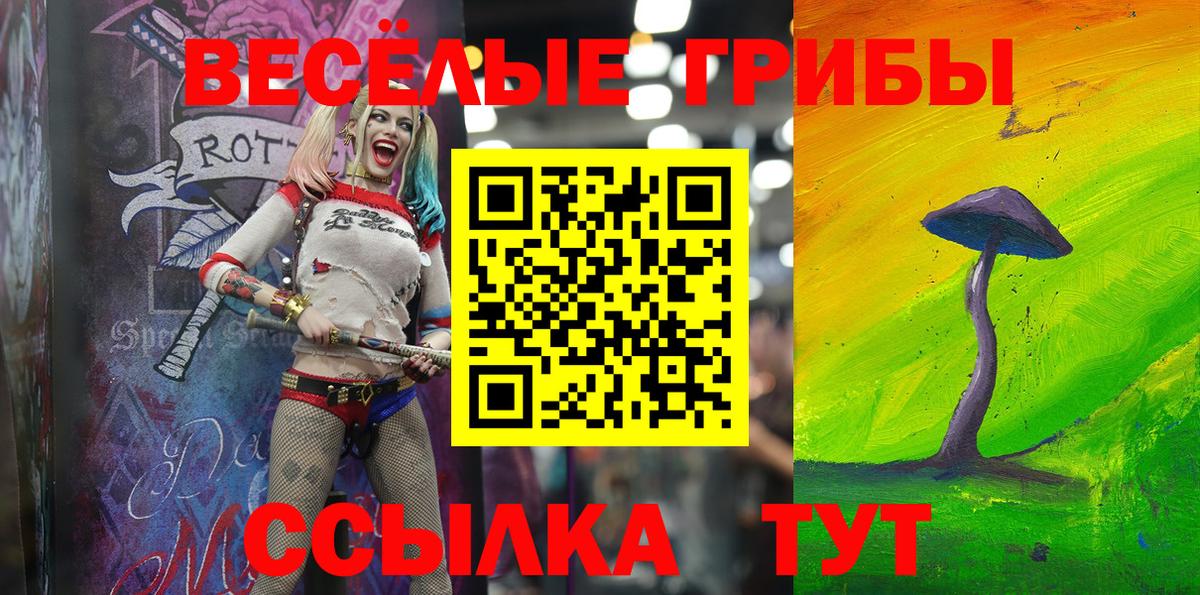 Галлюциногенные грибы GOLDEN TEACHER  Вход с VPN  купить   Усть-Кут  Галлюциногенные грибы ЛСД 