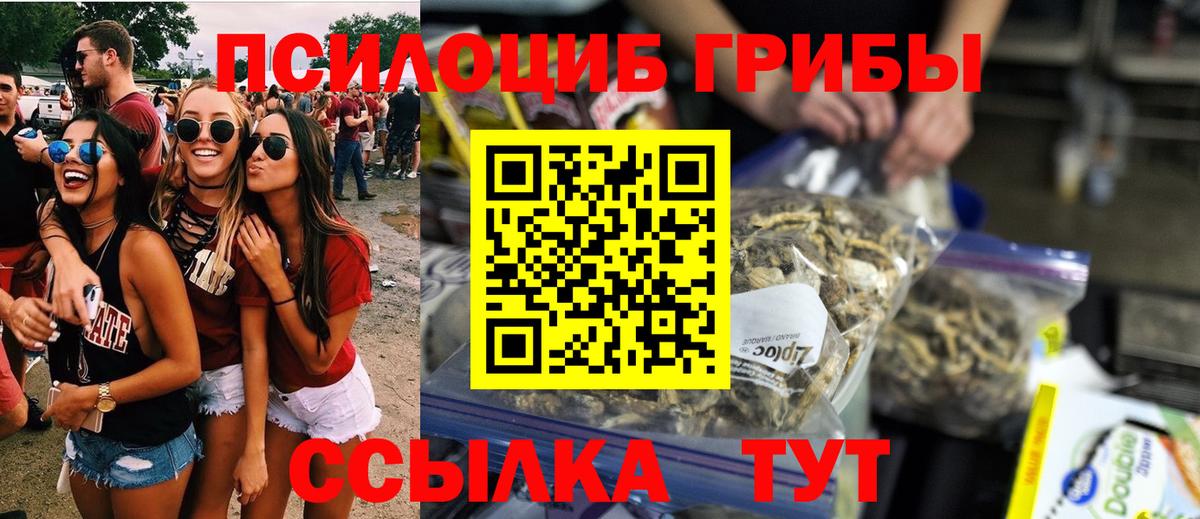 Псилоцибиновые грибы GOLDEN TEACHER  Усть-Кут  Псилоцибиновые грибы Magic Shrooms 