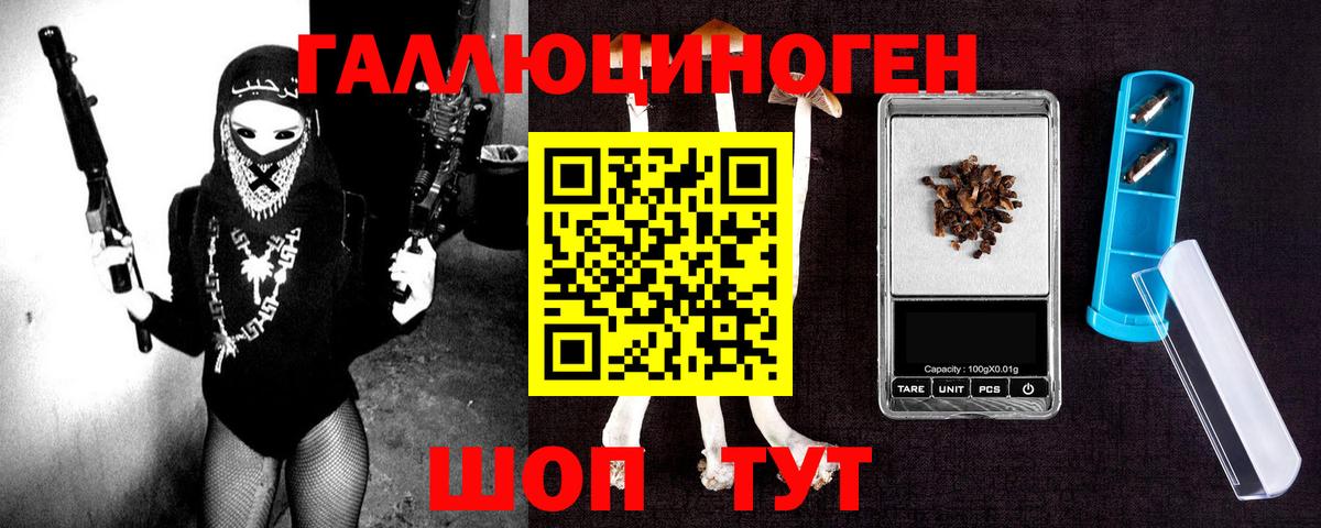 Псилоцибиновые грибы Psilocybe Усть-Кут