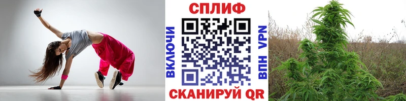 Шишки марихуана сатива  МЕГА tor  Усть-Кут  магазин  наркотиков 